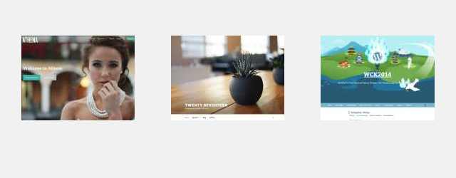 A WordPress Point of View: Themes