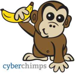 little advice on WP themes