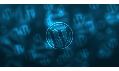 WP dot com or WP dot org